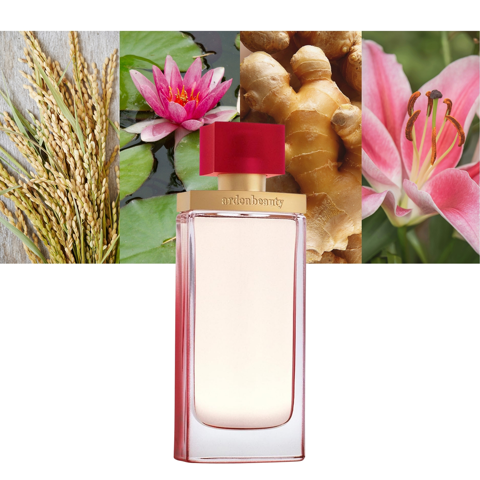 Elizabeth Arden ArdenBeauty