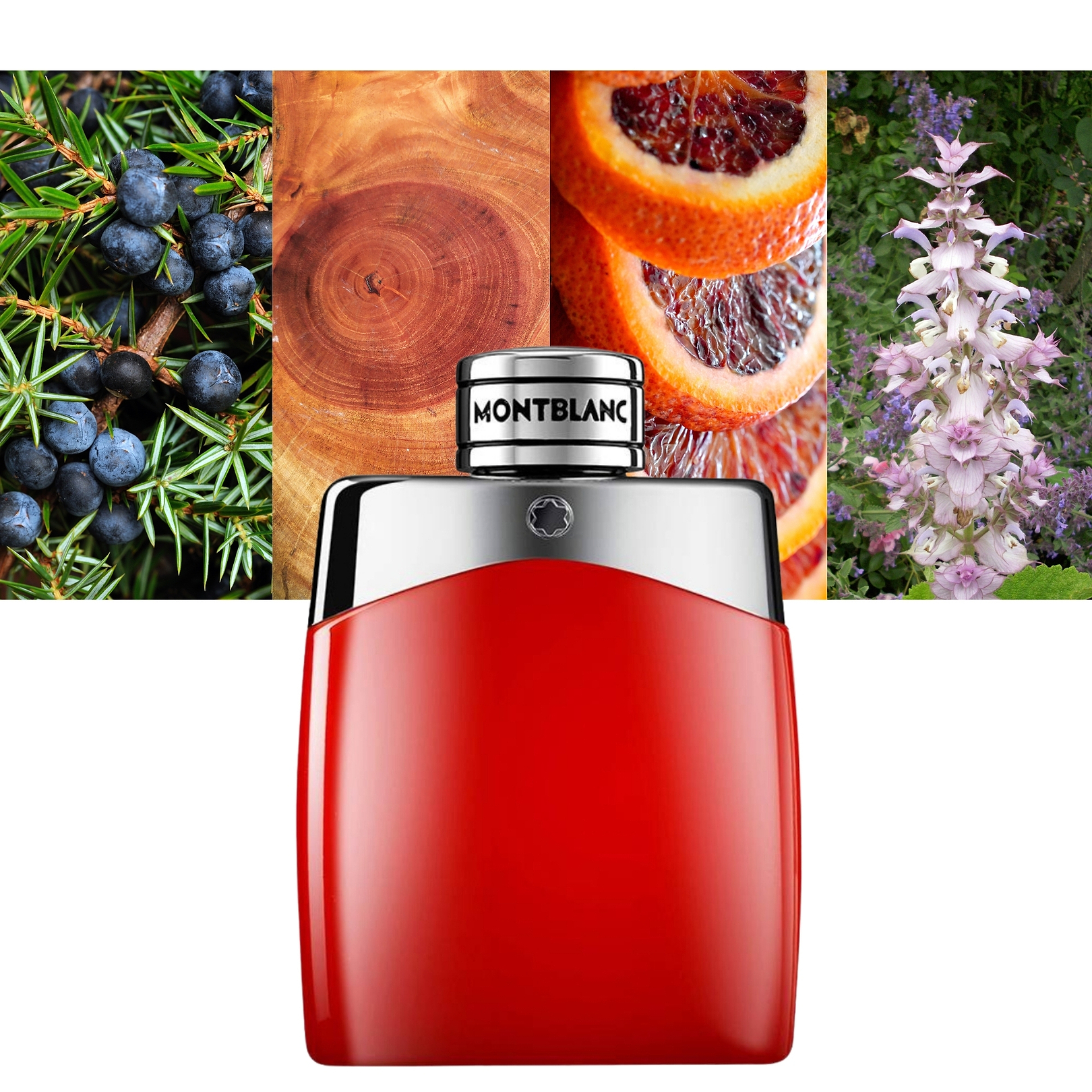 Mont Blanc Legend Red