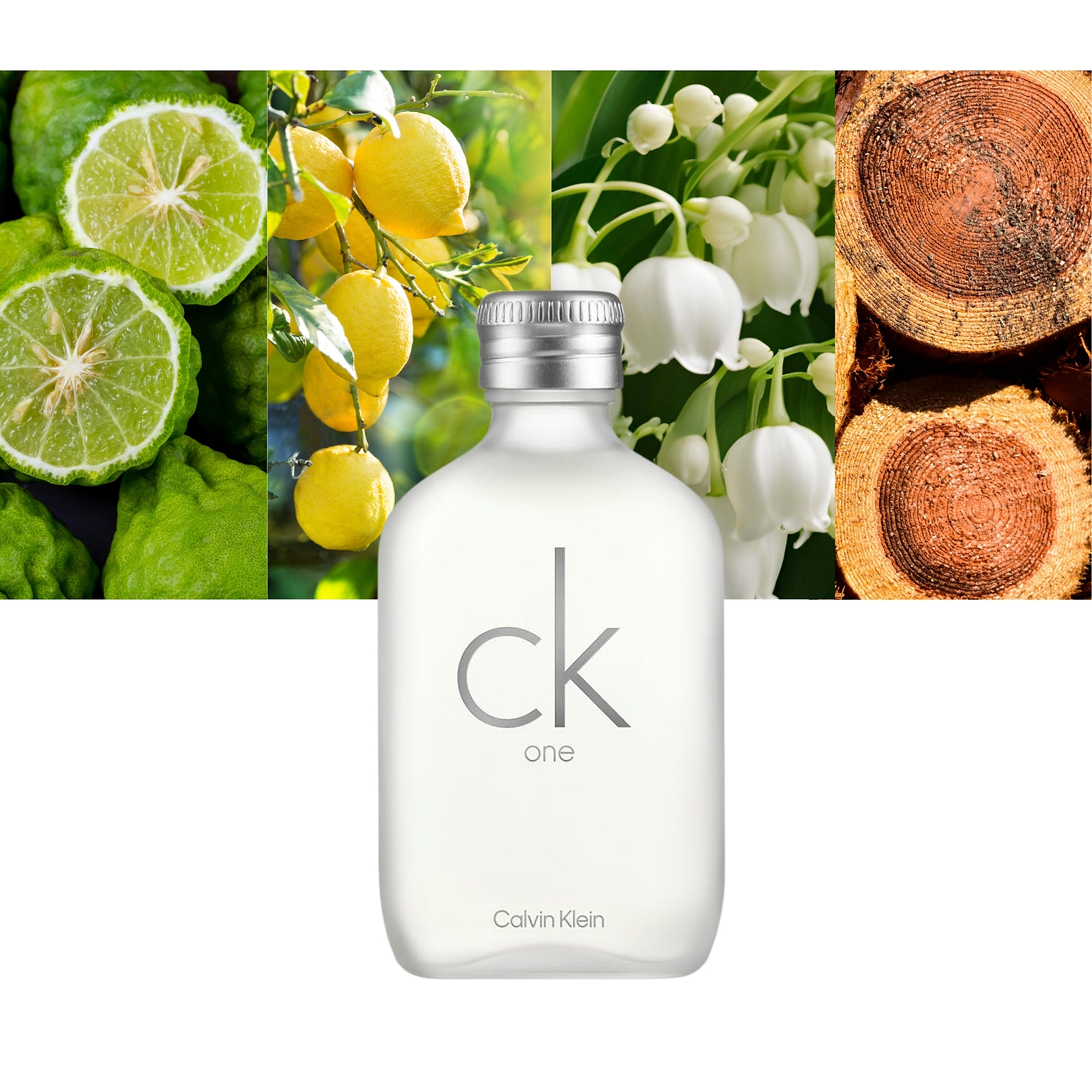 Calvin Klein Ck One