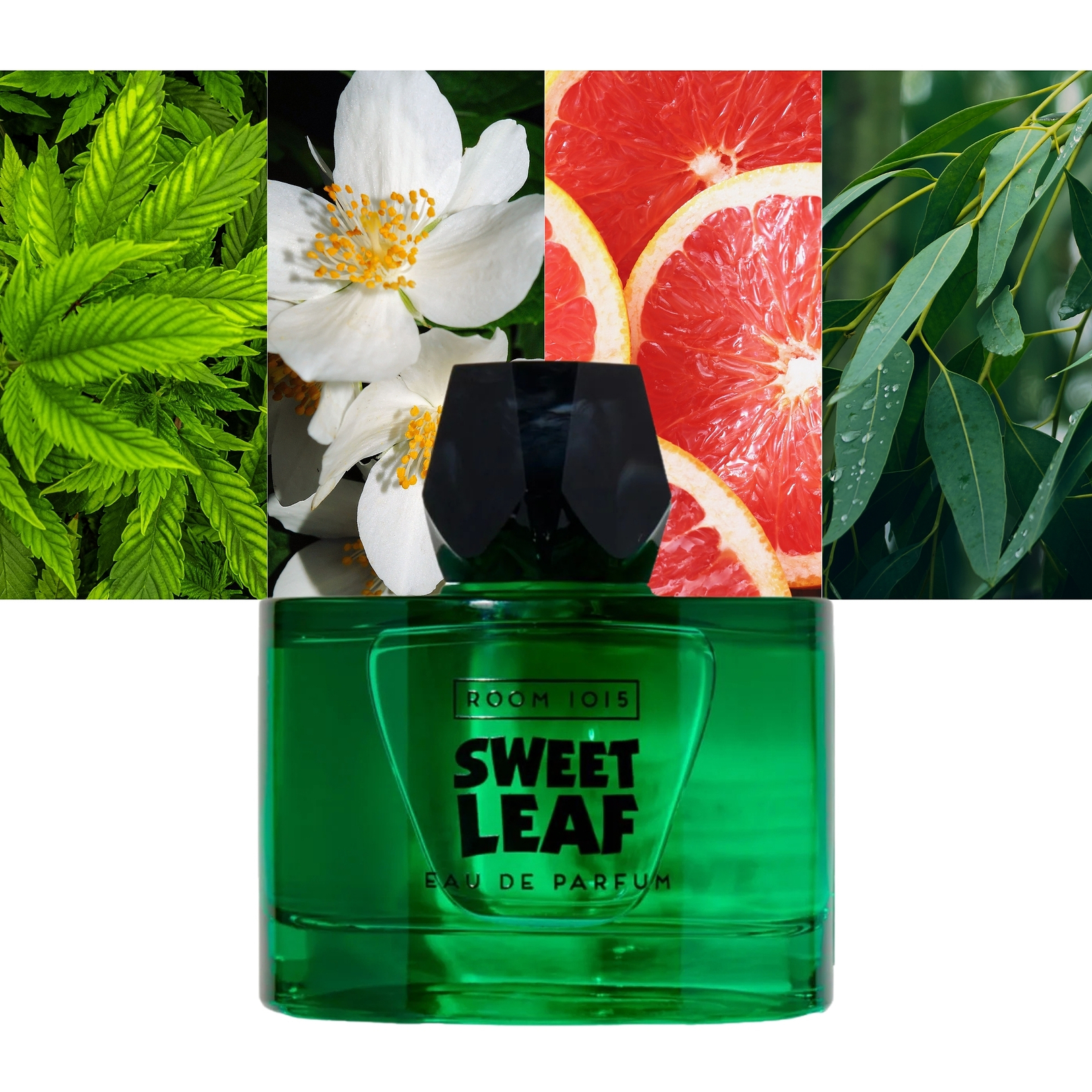 Room 1015 Sweet Leaf