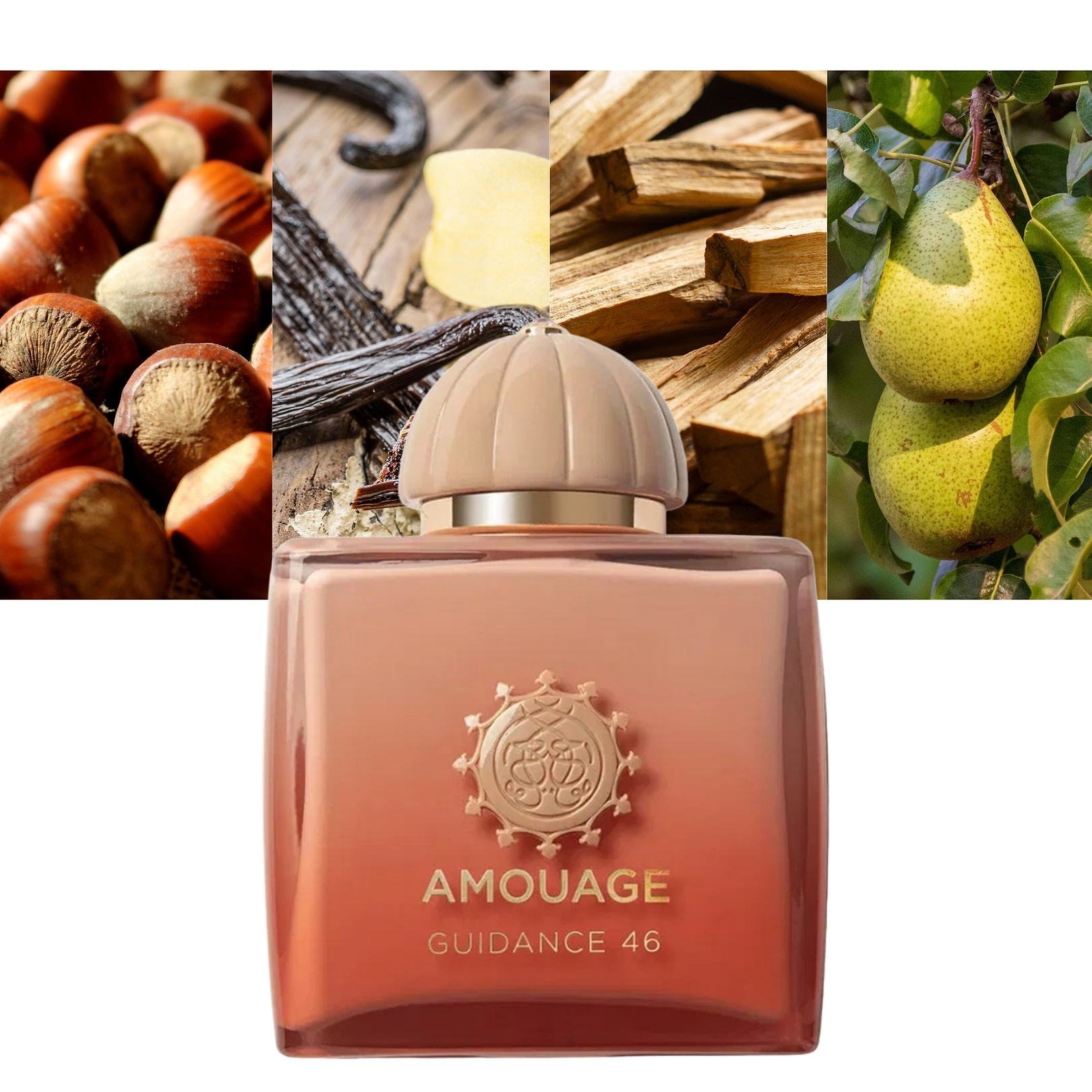 Amouage Guidance 46
