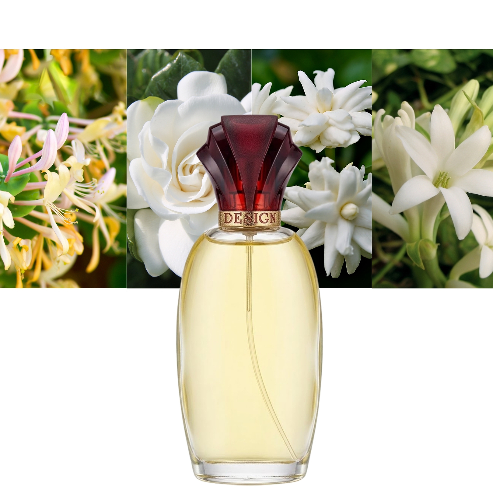 Paul Sebastian Design for Women