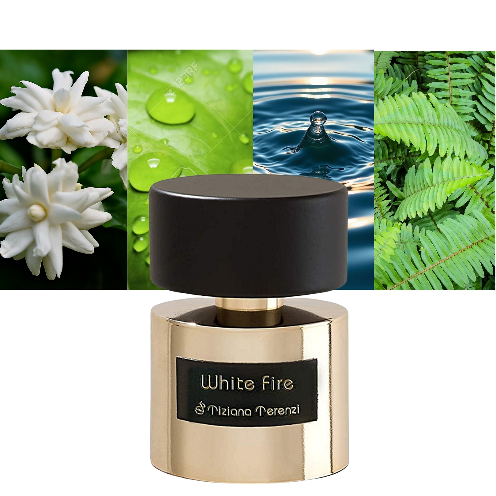 Tiziana Terenzi White Fire