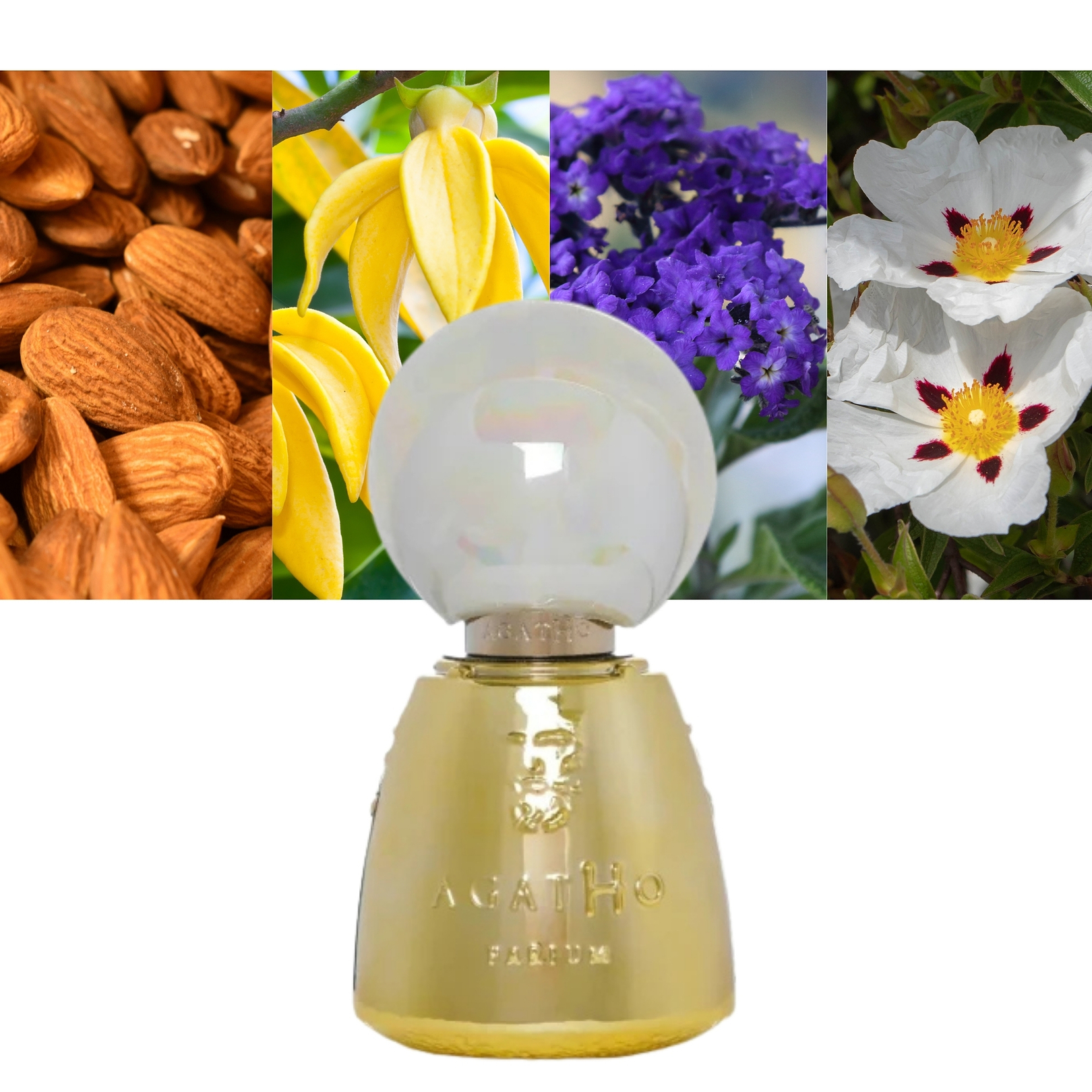 Agatho Parfum Rossopompeiano