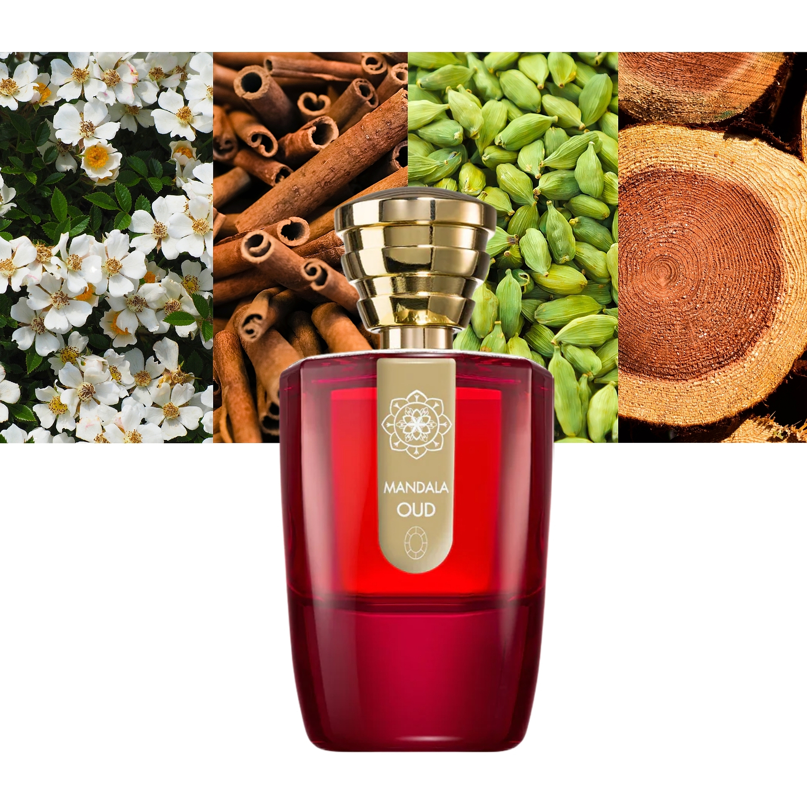 Masque Milano Mandala Oud