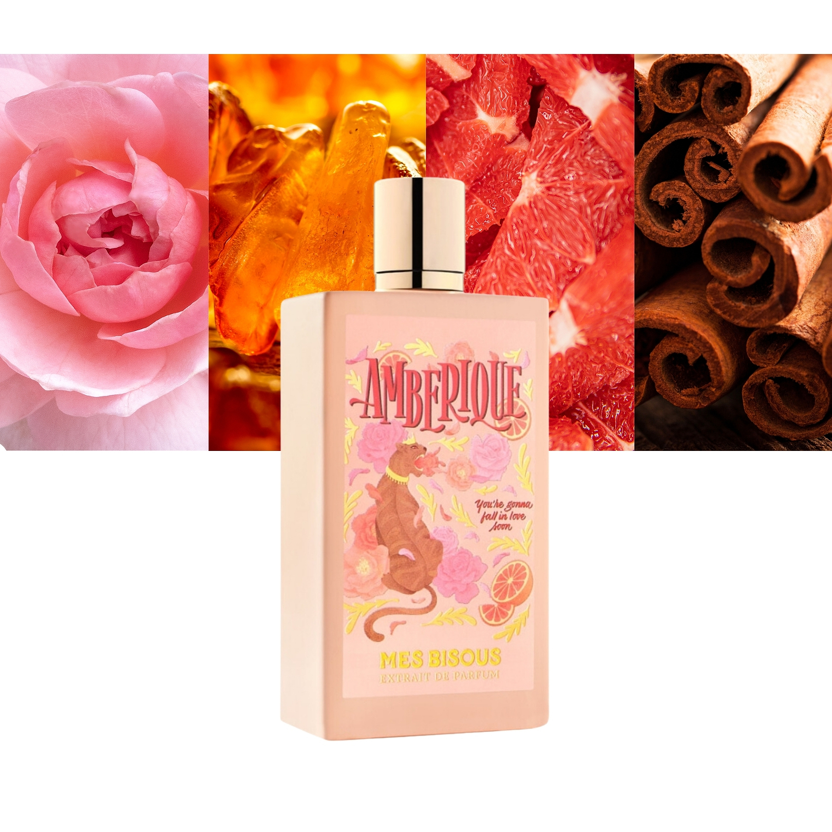 Mes Bisous Amberique