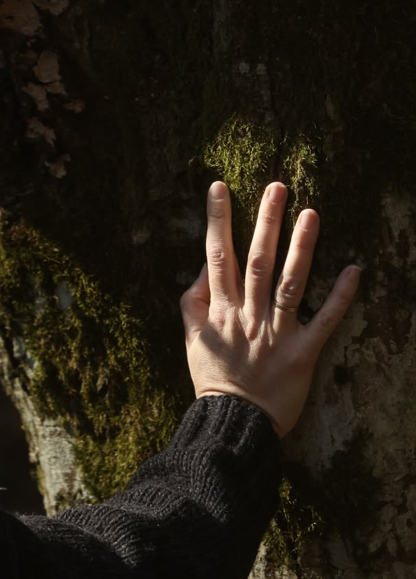 Scents Of Wood