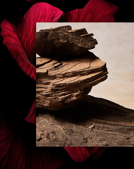 ONNO fragrance collection promotional banner