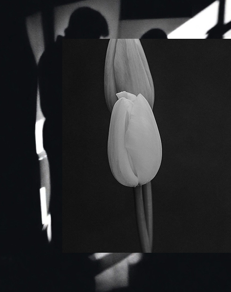 L Entropiste fragrance collection promotional banner