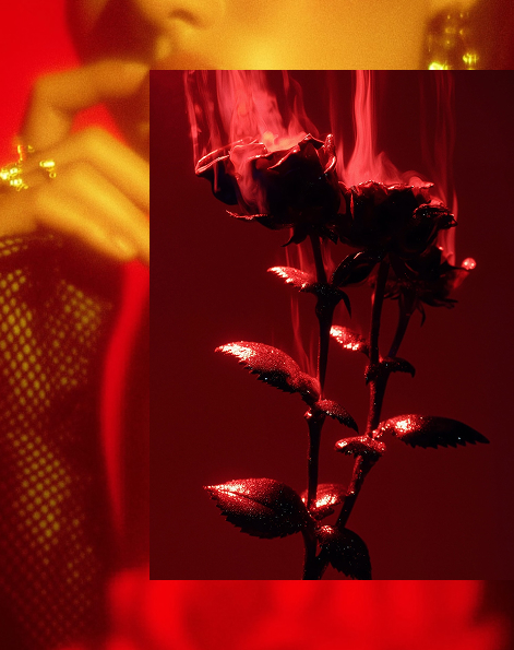 L Entropiste fragrance collection promotional banner