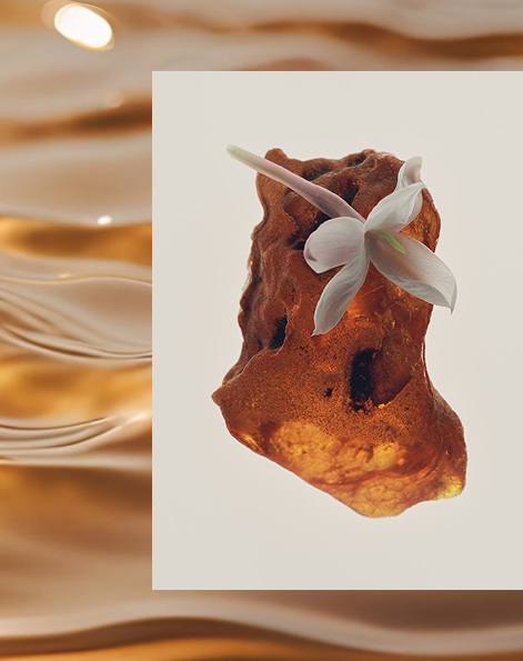 SORA DORA fragrance collection promotional banner