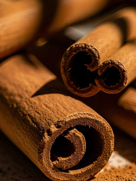 Base notes visual: Cedar,Cinnamon,Coriander,Sandalwood,Tonka