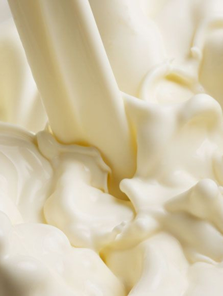 Base notes visual: Musk,Sandalwood,Tonka Bean,Vanilla