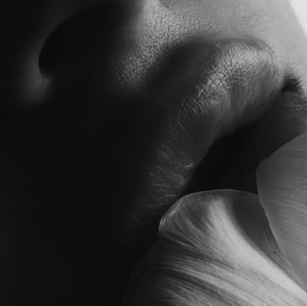 Pernoire