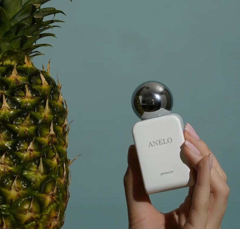 Pernoire fragrance collection showcase