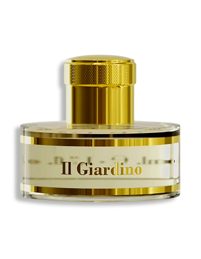 Product display image