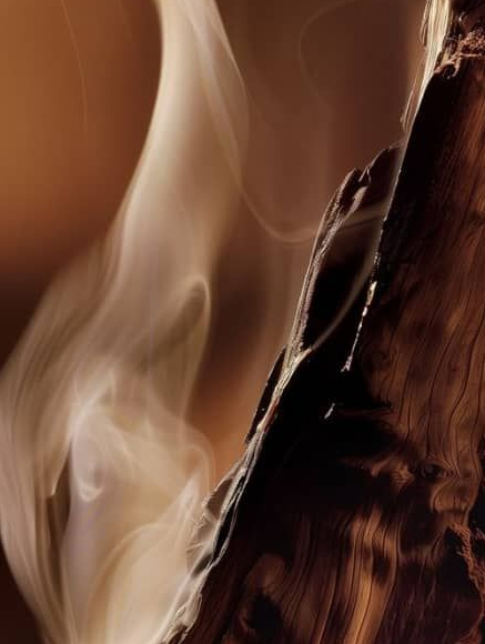 Base notes visual: Musk,Patchouli,Sandalwood,Vanilla