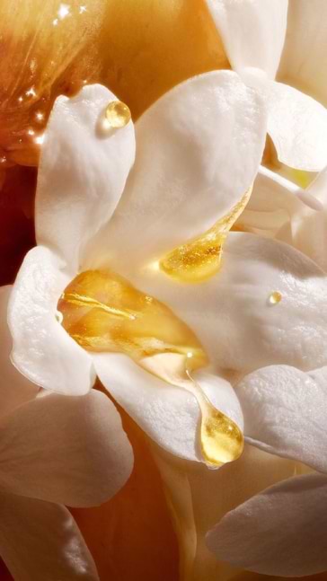 Middle notes visual: Jasmine,Lily,Orange Blossom