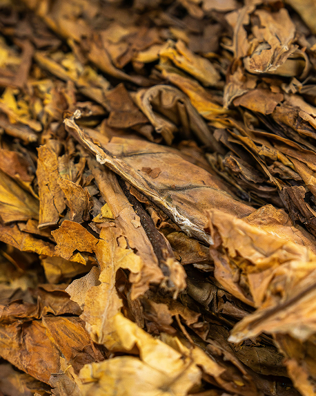 Top notes visual: Incense