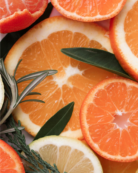 Top notes visual: Cardamom,Elemi,Lemon,Mandarin
