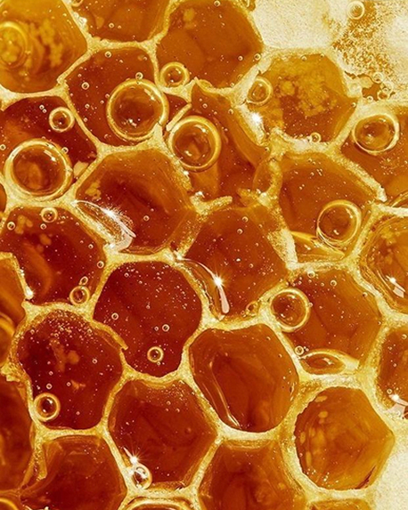 Top notes visual: Bergamot,Honey