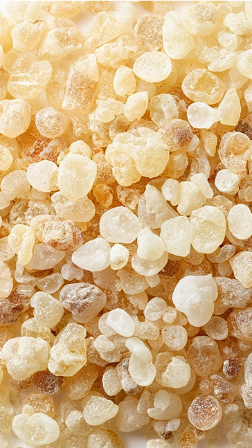 Middle notes visual: Almond,Frankincense