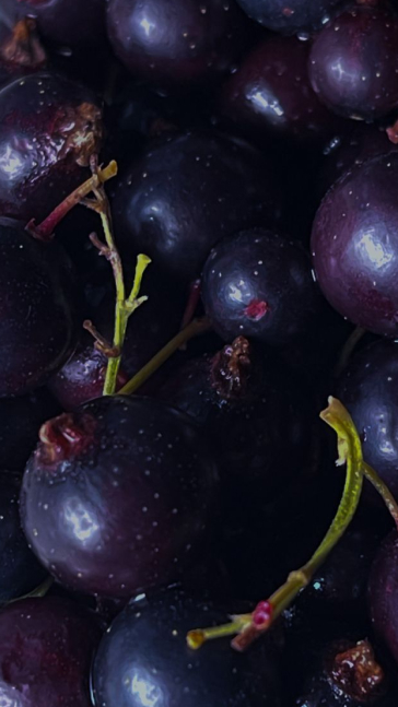Middle notes visual: Black Currant,Cedar,Jasmine