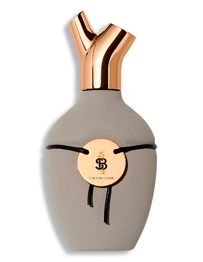 Product display image