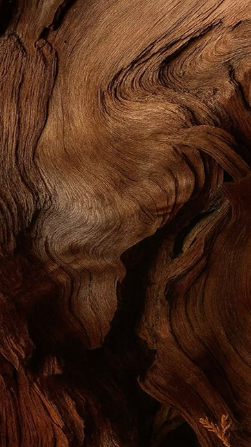 Middle notes visual: Pine,Woody