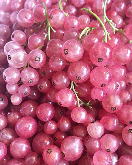 Top notes visual: Juniper Berries,Mate