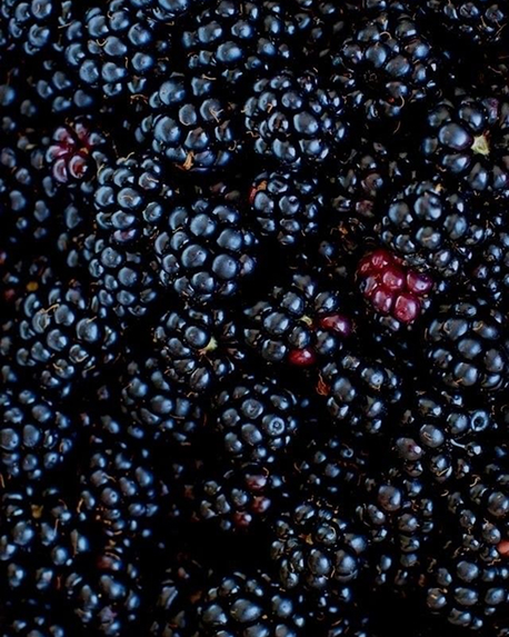 Top notes visual: Black Currant,Blackberry