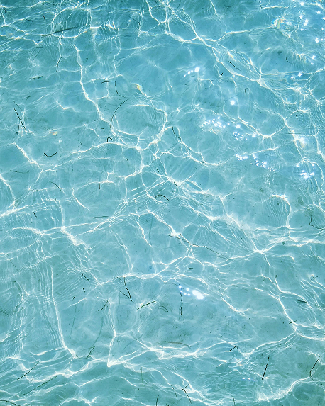 Top notes visual: Aquatic Notes,Bergamot,Citruses,Lemon