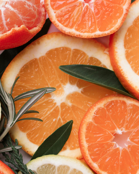 Top notes visual: Bitter Orange,Dried Plum,Green Mandarin