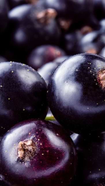 Middle notes visual: Blackcurrant,Cinnamon,Saffron