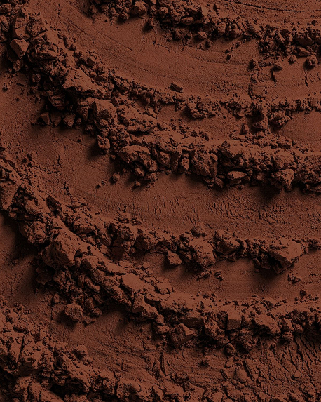 Top notes visual: Blackcurrant,Cacao,Chocolate,Plum