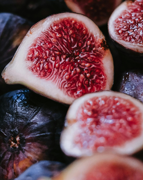 Top notes visual: Algae,Fig