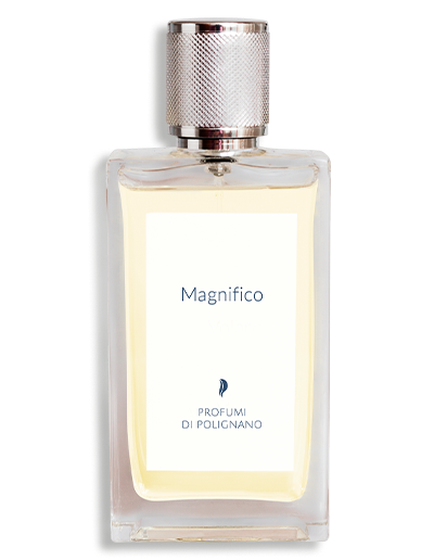 Product display image