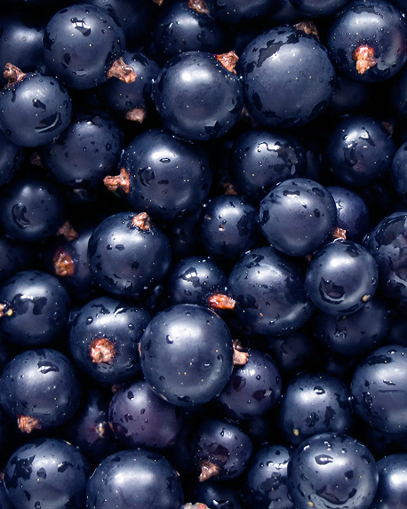 Top notes visual: Black Currant,Grasse Rose,Plum,Strawberry