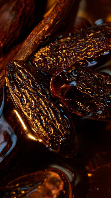 Middle notes visual: Benzoin,Tonka Bean