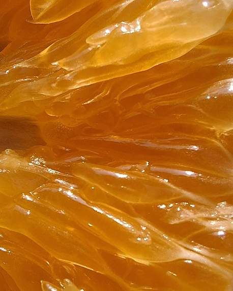 Top notes visual: Bergamot,Chocolate,Orange,Rhum