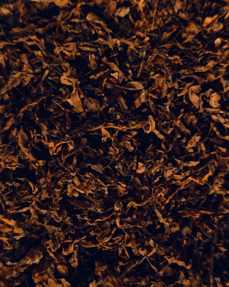 Top notes visual: Apricot,Davana,Spices,Tobacco Absolute