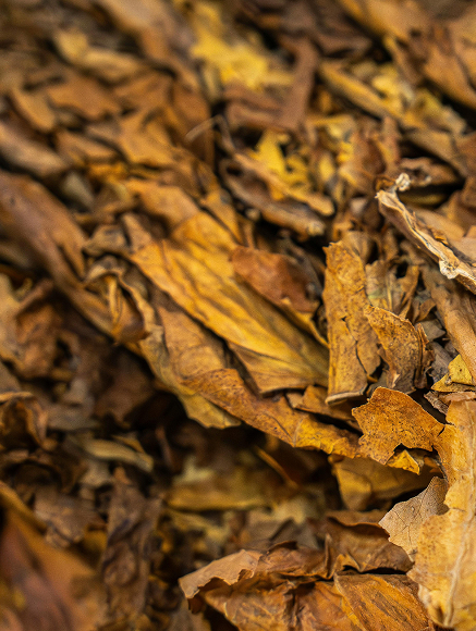 Base notes visual: Madagascar Vanilla,Oakmoss