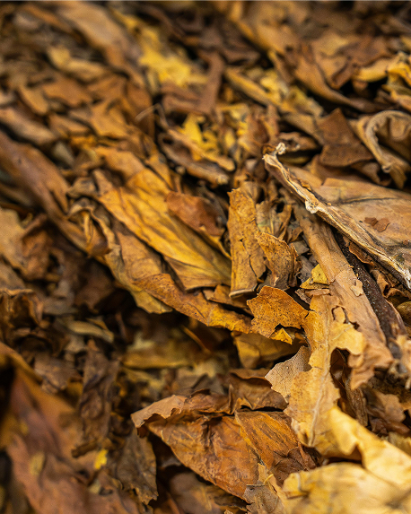 Top notes visual: Black Pepper,Incense