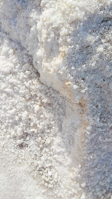 Middle notes visual: Clary Sage,Cypress,Salt