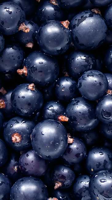 Middle notes visual: Black Currant,Paradisone,Pear