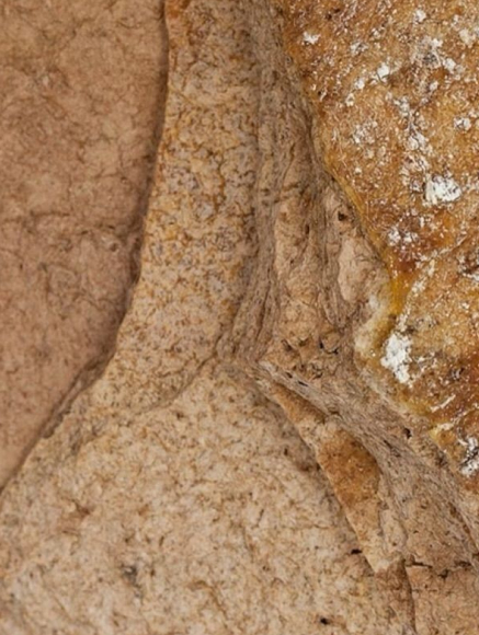 Base notes visual: Ambergris