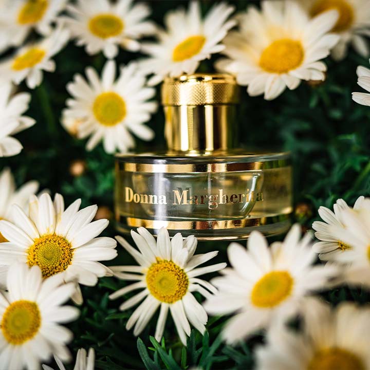 Pantheon Roma brand heritage and signature fragrance showcase
