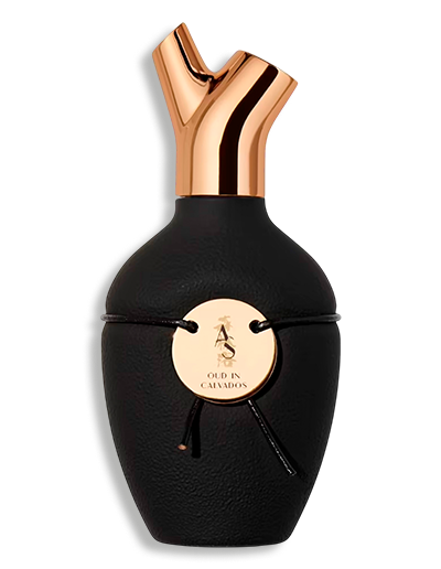 Product display image