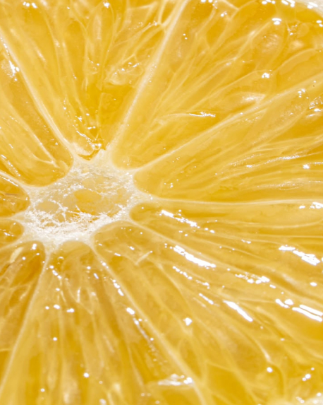 Top notes visual: Ambrette (Musk Mallow),Galbanum,Lemon