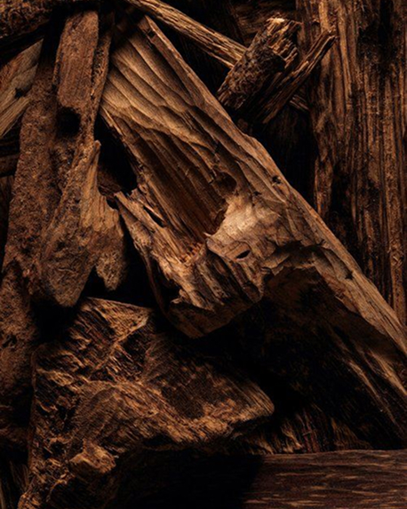 Top notes visual: Laotian Oud,Lemon,Nutmeg